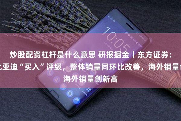 炒股配资杠杆是什么意思 研报掘金丨东方证券：维持比亚迪“买入”评级，整体销量同环比改善，海外销量创新高