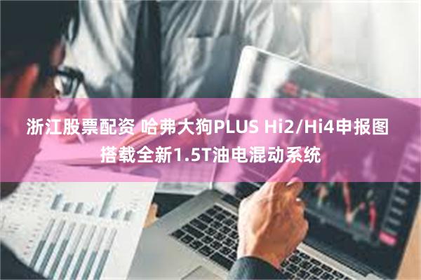 浙江股票配资 哈弗大狗PLUS Hi2/Hi4申报图 搭载全新1.5T油电混动系统