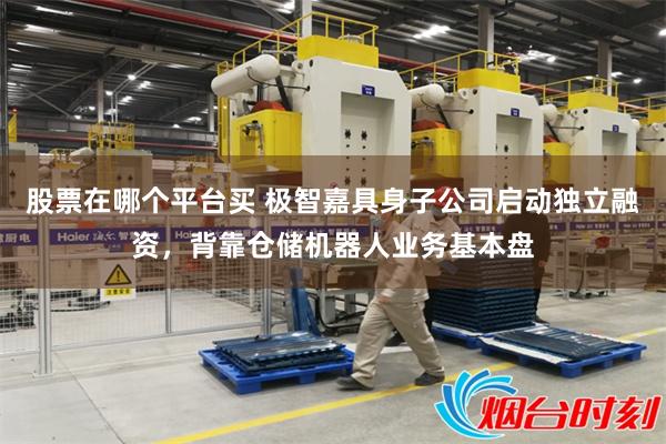 股票在哪个平台买 极智嘉具身子公司启动独立融资，背靠仓储机器人业务基本盘
