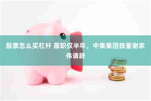 股票怎么买杠杆 履职仅半年，中集集团独董谢家伟请辞
