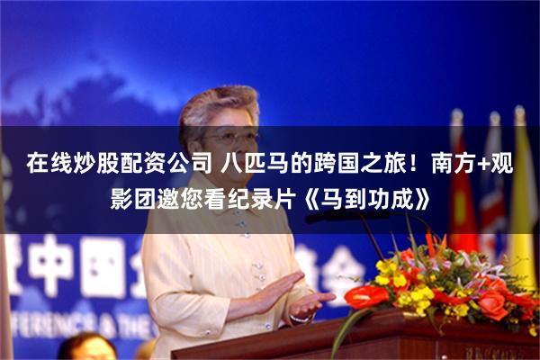 在线炒股配资公司 八匹马的跨国之旅！南方+观影团邀您看纪录片《马到功成》