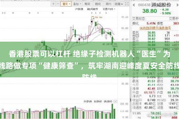 香港股票可以杠杆 绝缘子检测机器人“医生”为线路做专项“健康筛查”，筑牢湖南迎峰度夏安全防线