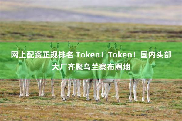 网上配资正规排名 Token！Token！国内头部大厂齐聚乌兰察布圈地