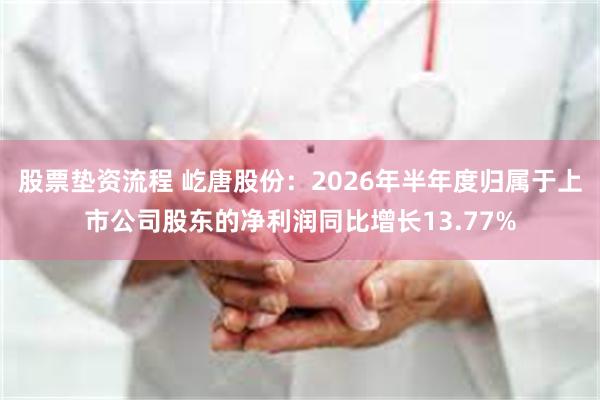 股票垫资流程 屹唐股份：2026年半年度归属于上市公司股东的净利润同比增长13.77%