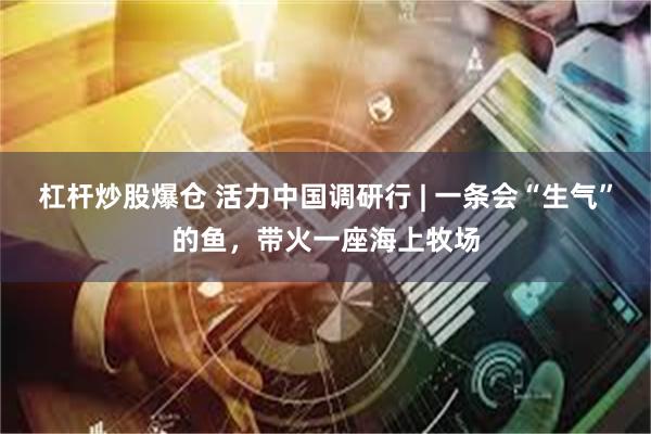 杠杆炒股爆仓 活力中国调研行 | 一条会“生气”的鱼，带火一座海上牧场