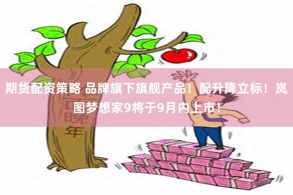 期货配资策略 品牌旗下旗舰产品！配升降立标！岚图梦想家9将于9月内上市！