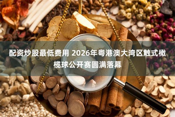 配资炒股最低费用 2026年粤港澳大湾区触式橄榄球公开赛圆满落幕