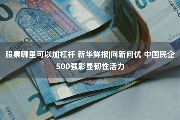 股票哪里可以加杠杆 新华鲜报|向新向优 中国民企500强彰显韧性活力