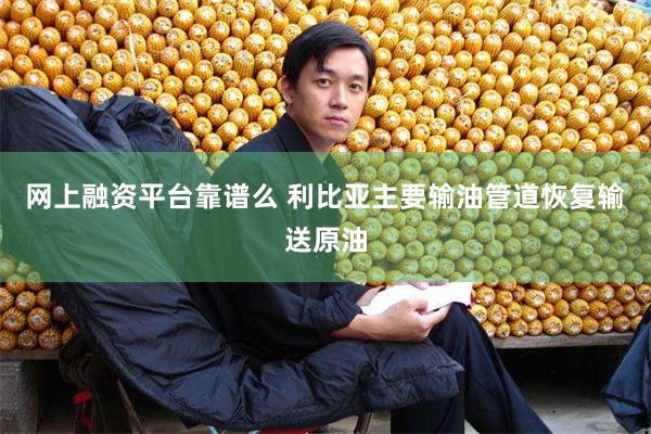 网上融资平台靠谱么 利比亚主要输油管道恢复输送原油