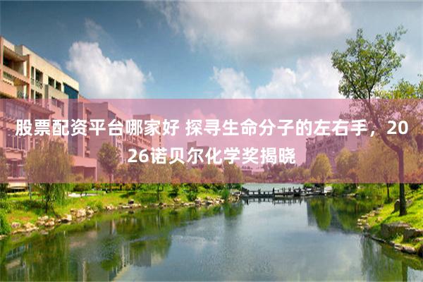 股票配资平台哪家好 探寻生命分子的左右手，2026诺贝尔化学奖揭晓