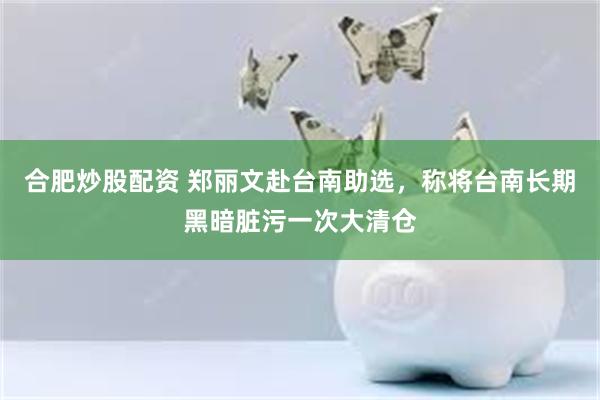 合肥炒股配资 郑丽文赴台南助选，称将台南长期黑暗脏污一次大清仓