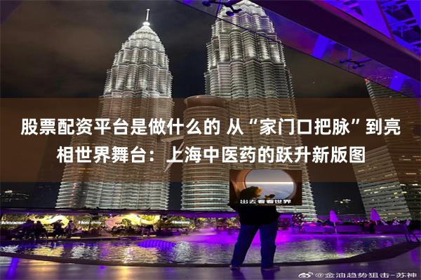 股票配资平台是做什么的 从“家门口把脉”到亮相世界舞台：上海中医药的跃升新版图