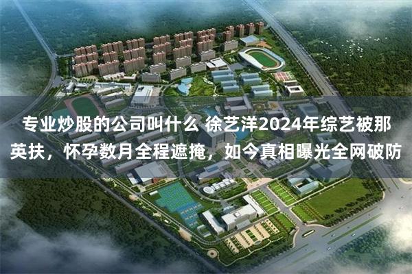 专业炒股的公司叫什么 徐艺洋2024年综艺被那英扶，怀孕数月全程遮掩，如今真相曝光全网破防
